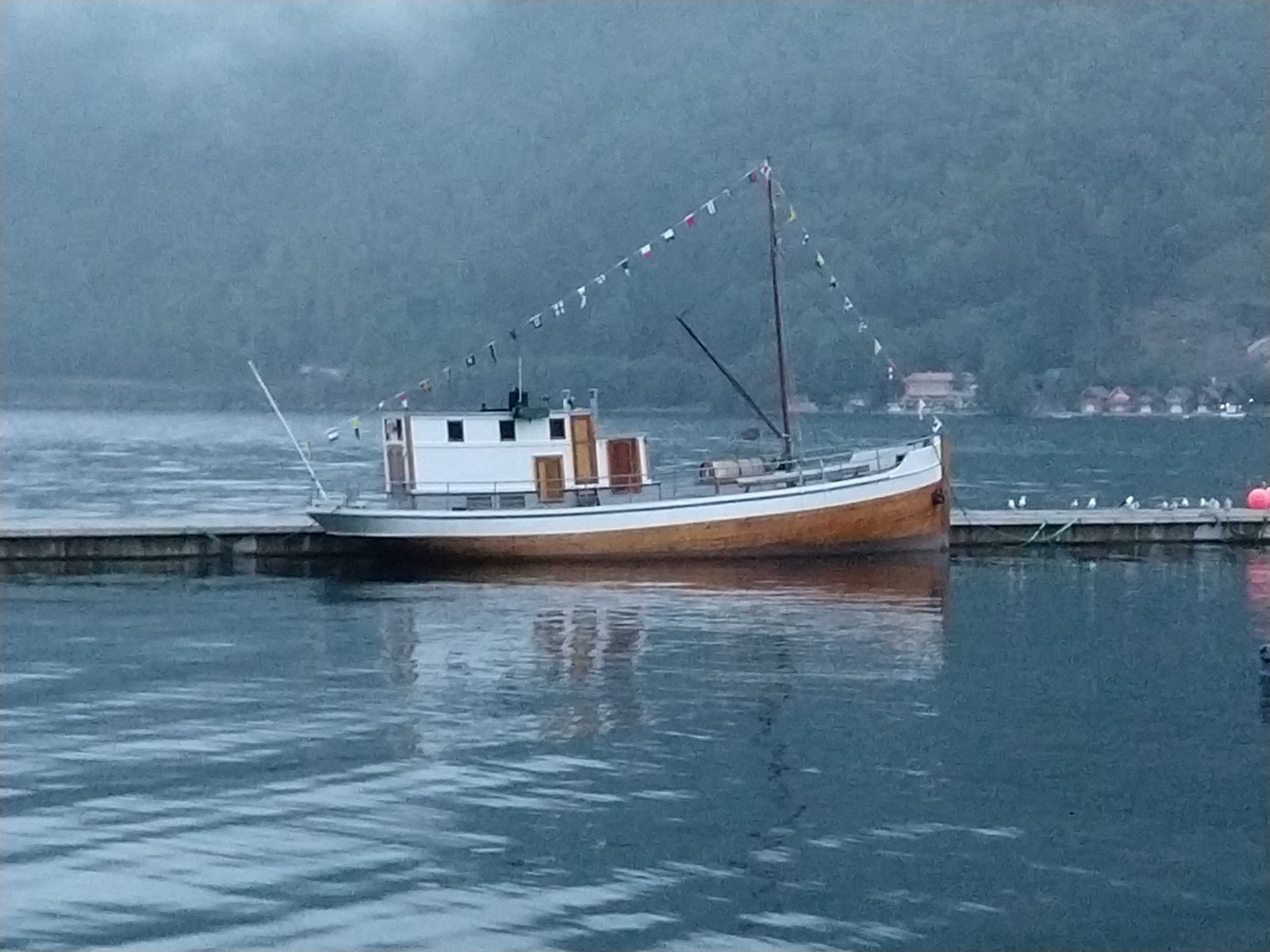 M/S Arnafjord